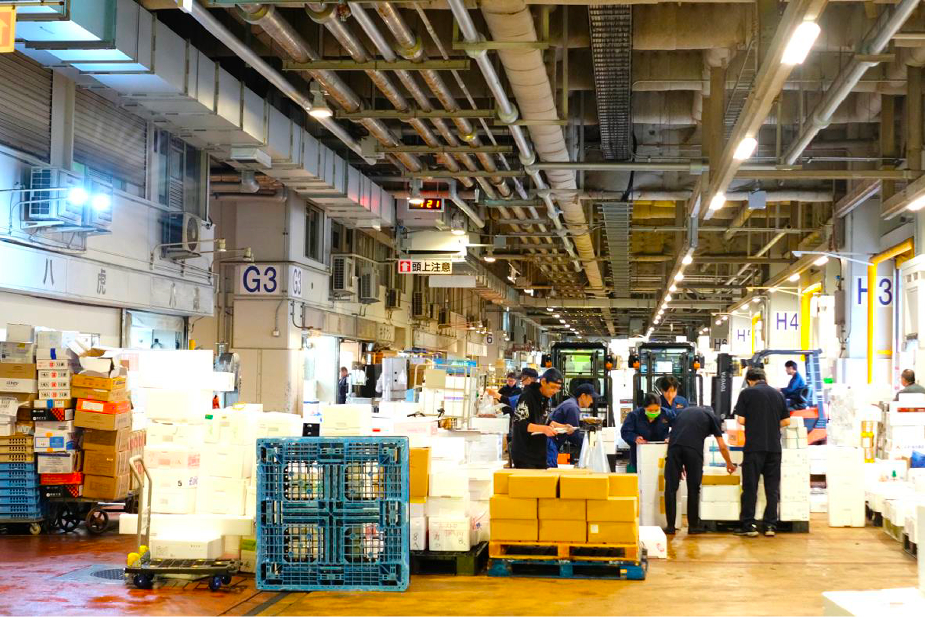 魚食文化はどのように成立し、変化してきたのか〈前編〉