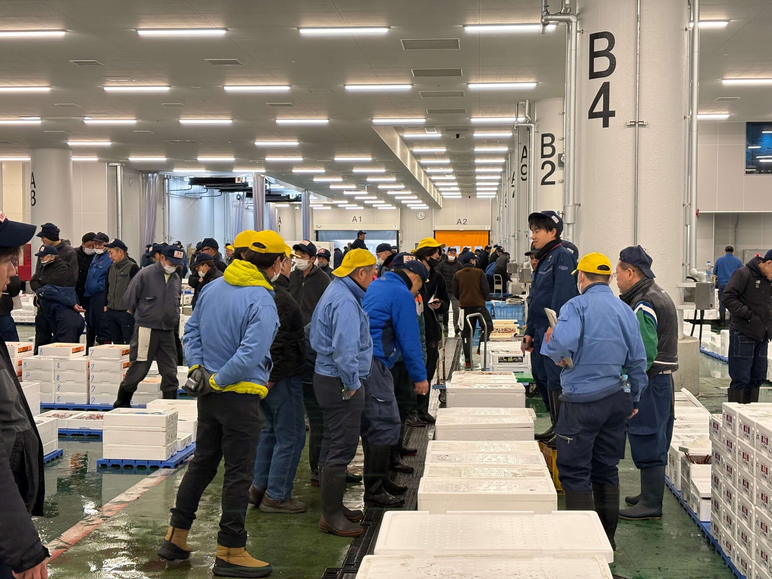 私たちは本当に魚を食べなくなったのか？